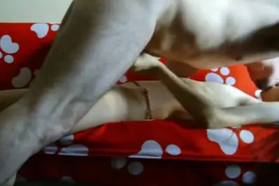 Bokep Indo ABG Jakarta Bispak Skandal ML Hotel Terekam Viral Full HD 2025